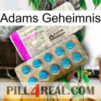 Adams Secret new07